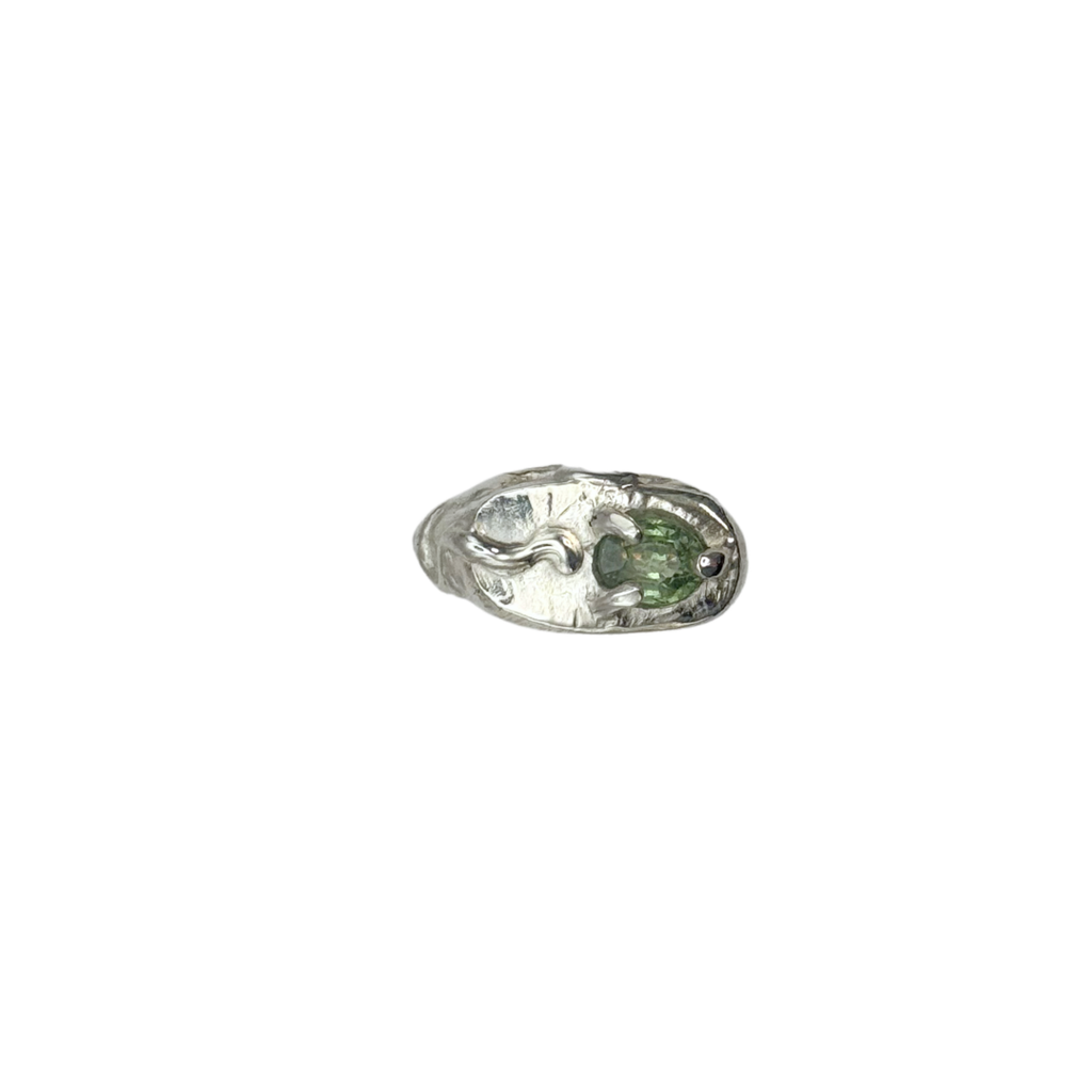 Snake Ring (Size 6)